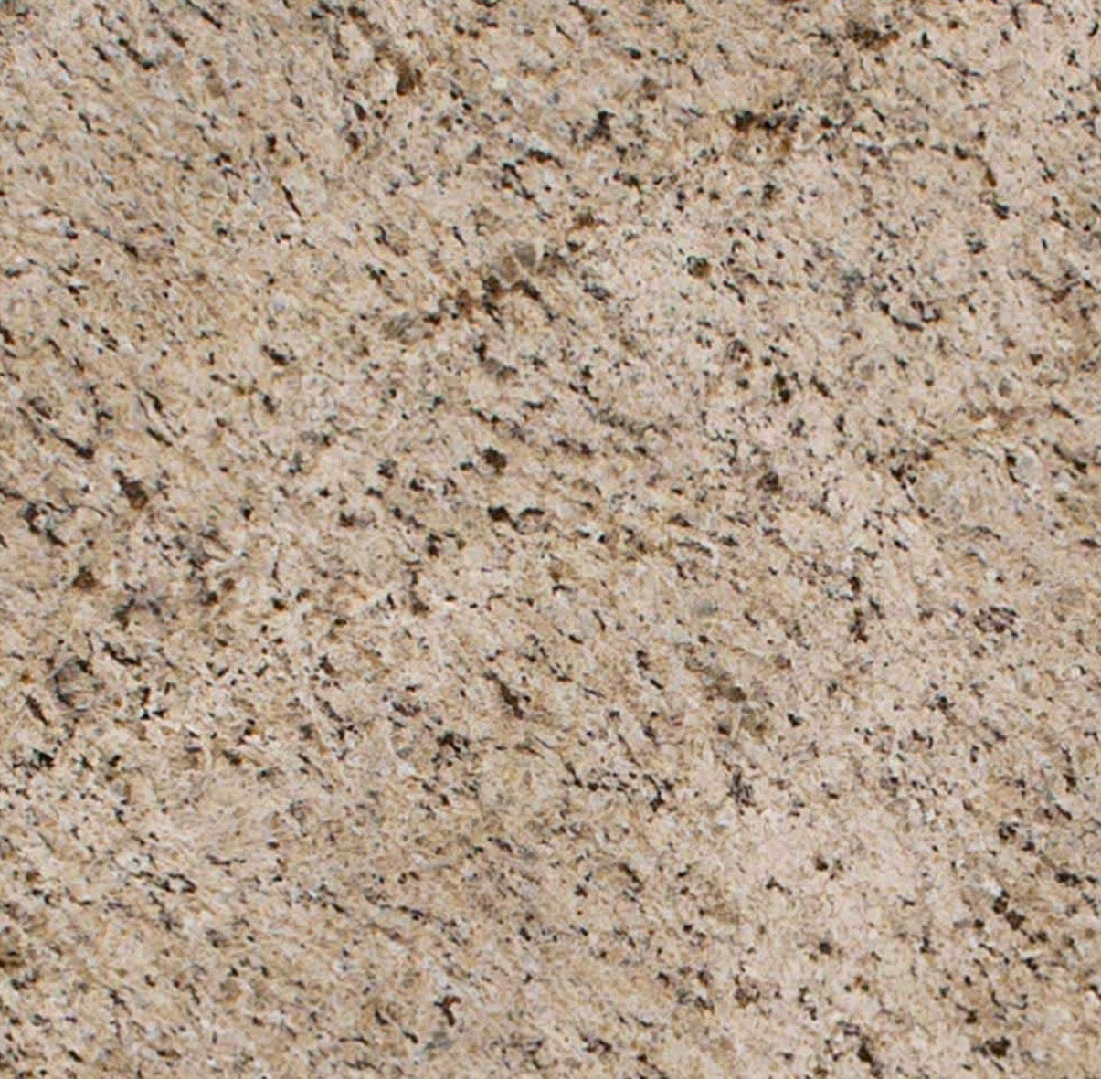 Kashmir White