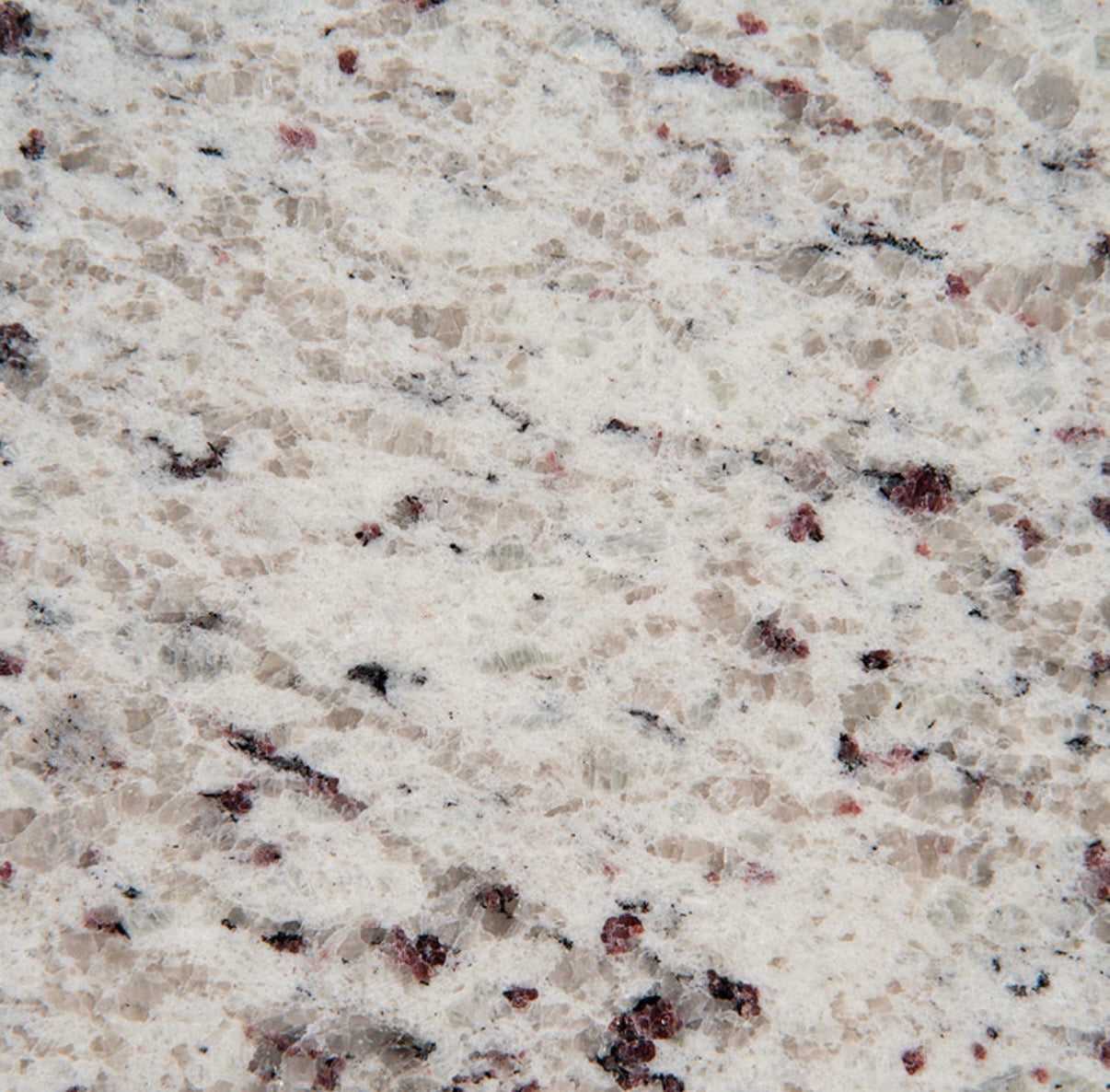 Colonial Spotted White