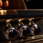 Blaze LTE PRO 32-Inch 4-Burner Built-In Grill with Digital Temperature Screen & Rotisserie